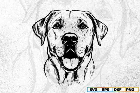 Download Labrador Retriever Svg , Dog Svg Cricut - Dog svg Collection